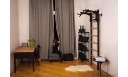 Švediškos sieneles BenchK: BenchK 232B gimnastikos kopėčios