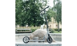 Paspirtukas inSPORTline Wayotan