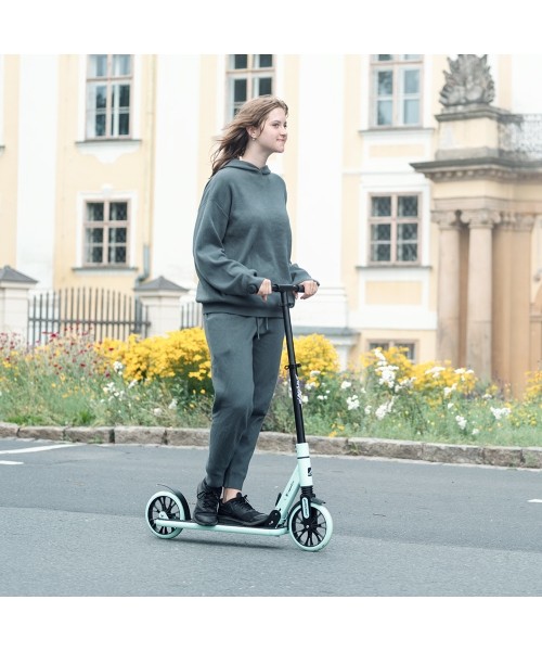 Paspirtukas inSPORTline Wayomint