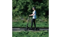 Electric Scooters W-TEC: E-skuteris W-TEC Lambreto Max III 700 W 10"