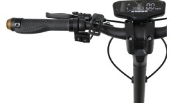 Electric Scooters W-TEC: E-skuteris W-TEC Lambreto Max III 700 W 10"