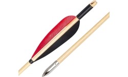 Medinės strėlės inSPORTline Timberson, 10 vnt.