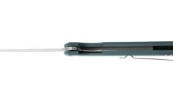 Sulankstomas peilis Ganzo Firebird FH11-GB