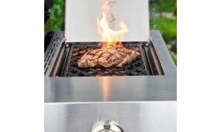 Dujinis grilis Char-Broil Professional Pro S 2
