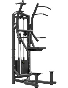 Assisted Pull-ups UpForm UF-009