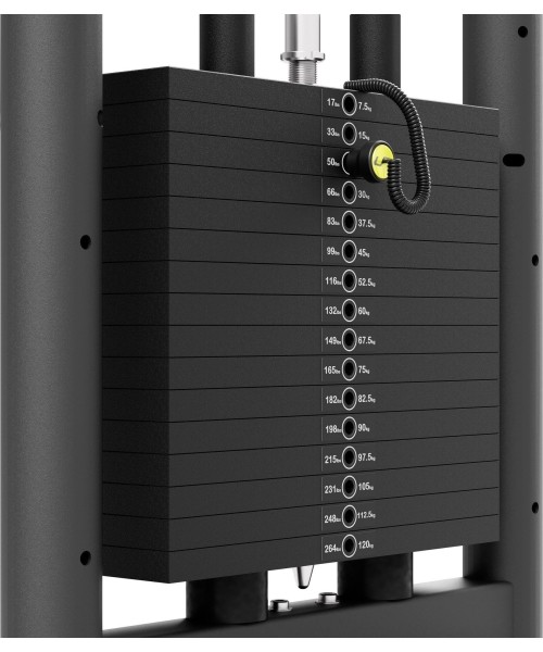 Assisted Pull-ups UpForm UF-009