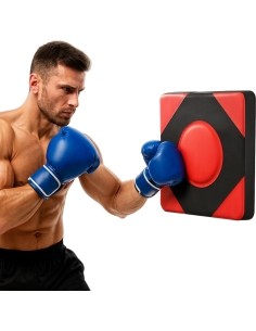 Punching Pad inSPORTline Tarbo Small 30 x 30 x 8 cm