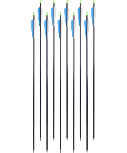 Aliuminės strėlės su įsukamais antgaliais inSPORTline Aluson 30", 10 vnt., mėlynos-baltos