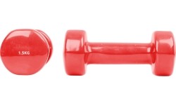 Vinyl Dumbbell Set inSPORTline Smoothbell 2 x 1.5 kg