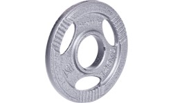 Olympic Steel Plate inSPORTline Hamerton 1.25 kg