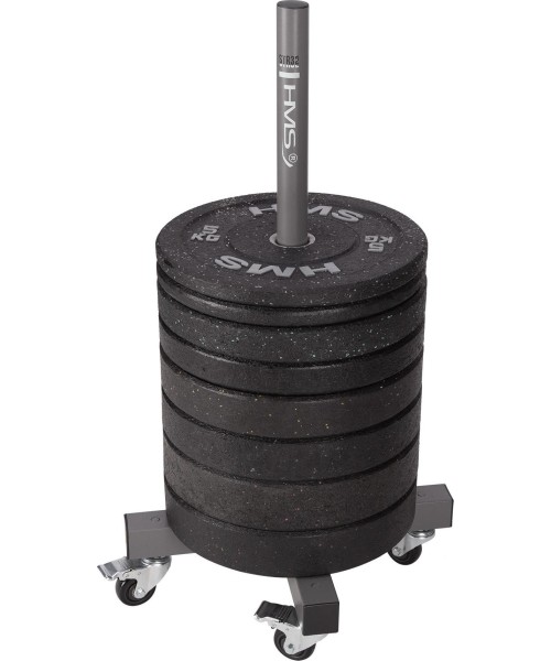 STR32 WEIGHT PLATE RACK COMMERCIAL HMS