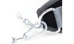 PST04 DIPPING BELT HMS