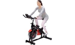SW8902N SPIN BIKE HMS
