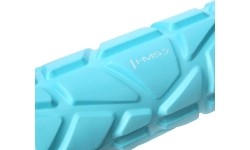 FS119 ROLLER HMS