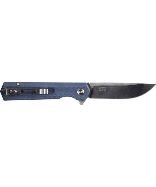 Ganzo Firebird FH11S-GY folding knife