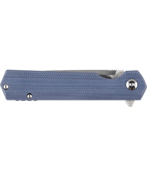 Ganzo Firebird FH11S-GY folding knife