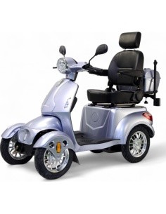 Four-Wheel Electric Scooter inSPORTline Antun - Silver