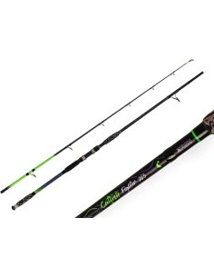 ZFISH Rod Catfish Fighter 2,85/ 100-300g