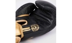 Venum Power 2.0 Boxing Gloves - Black/Gold