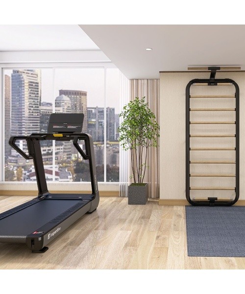 Wall Bars inSPORTline Wootalux 220 x 86 cm