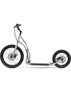 Paspirtukas Yedoo Mezeq Y40 20/16" - Sidabrinė