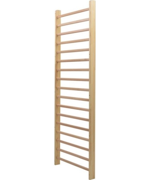 Rehabilitation Single Field Wall-Bar Coma Sport GS-004-1 – 2,56x0,9m