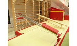 MUSCLE-TRAINING BENCH FOR USE ON WALL BARS