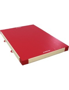 Tradicinis apsauginis kilimėlis, vieno tankio, PVC užvalkalas, 300 x 200 x 20 cm