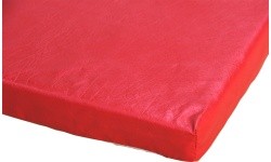 Gimnastikos kilimėlis, PVC užvalkalas, su sujungimo juostomis, be sustiprintų kampų, 200 x 100 x 4 cm