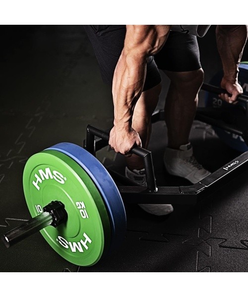 CBR OLYMPIC PLATE - BUMPER HMS - 10 kg