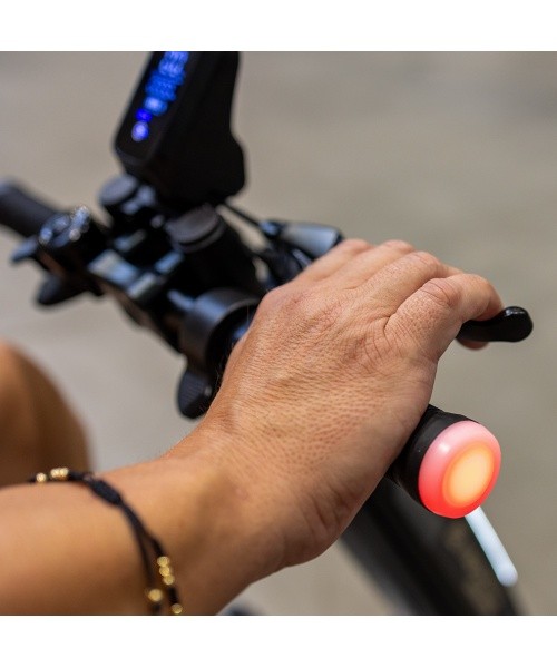 Electric Drive for Wheelchairs inSPORTline Oppatia