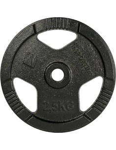 Cast Iron Weight Plate inSPORTline Hamerton Black 2.5 kg, 30 mm