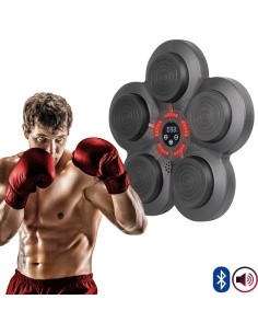 Sieninis elektroninis bokso taikinys inSPORTline Smartpunch