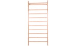 Gimnastikos sienelė inSPORTline Dremar 215 x 80 cm, lakuota
