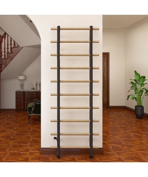 Wall Bars inSPORTline Wootamax 220 x 80 cm w/ 2 Installation Options