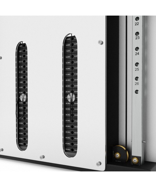 BS302 DOUBLE WALL-MOUNTED TRAINING GATE WITH STACK COMMERCIAL HMS