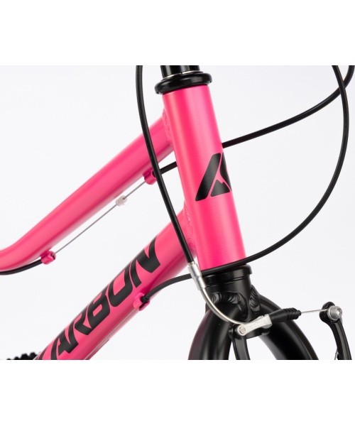 Dviratis Karbon Superlight 20 pink