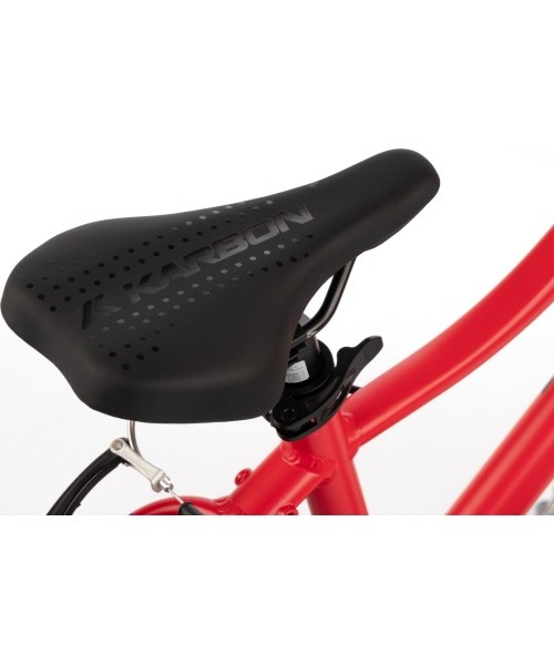 Dviratis Karbon Superlight 20 red