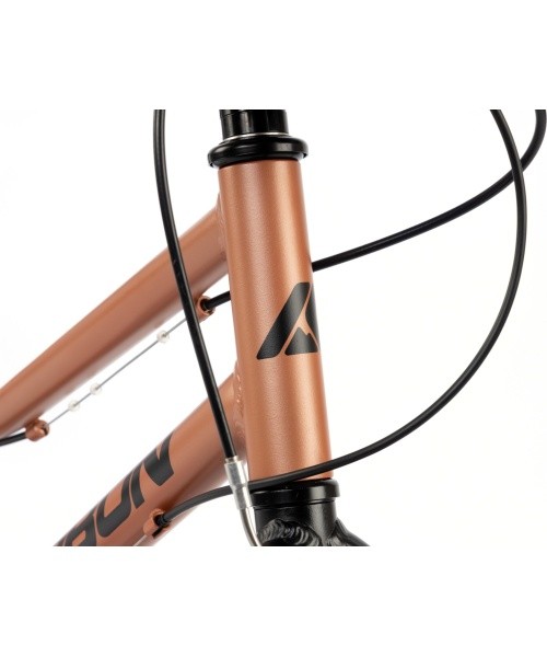 Dviratis Karbon Superlight 20 copper
