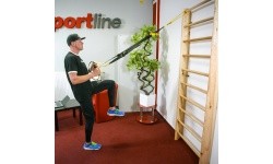 Wall Bars inSPORTline Steadyline 220 x 90 cm