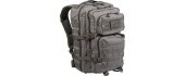 FOLIAGE BACKPACK US ASSAULT LARGE