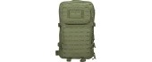 US OD LASER CUT ASSAULT BACKPACK LG