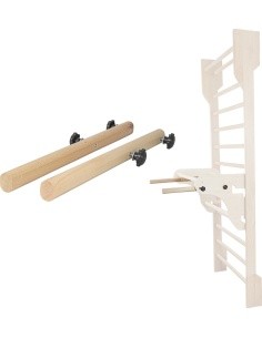 Parallel Bars for Wall Bars