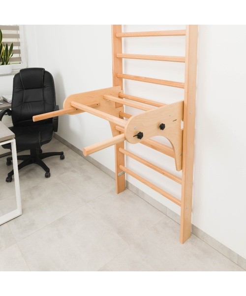 Parallel Bars for Wall Bars