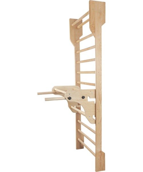 Parallel Bars for Wall Bars