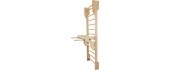 Parallel Bars for Wall Bars