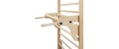 Parallel Bars for Wall Bars