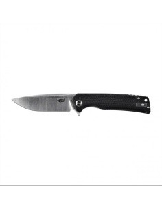 Folding Knife Ganzo Firebird FH91-BK