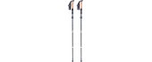 5-Piece Carbon Trekking Poles inSPORTline Caretera