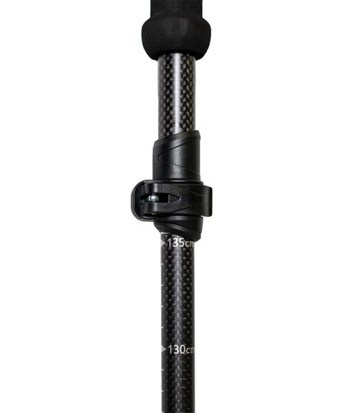 5-Piece Carbon Trekking Poles inSPORTline Caretera